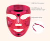 Luminous Legends FaceWare Pro LED Device Holiday Kit